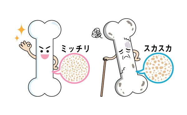 🌸 骨の健康説明会 🌸