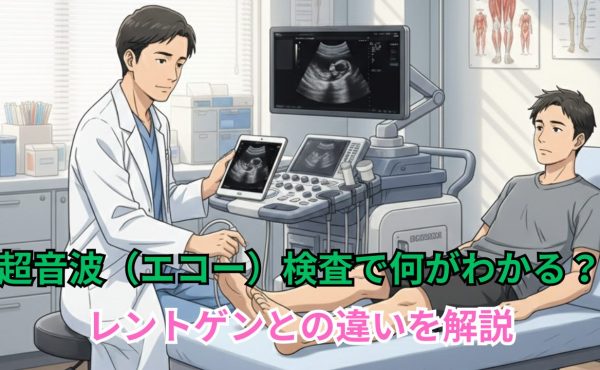 超音波（エコー）検査で何がわかる？ - レントゲンとの違いを解説