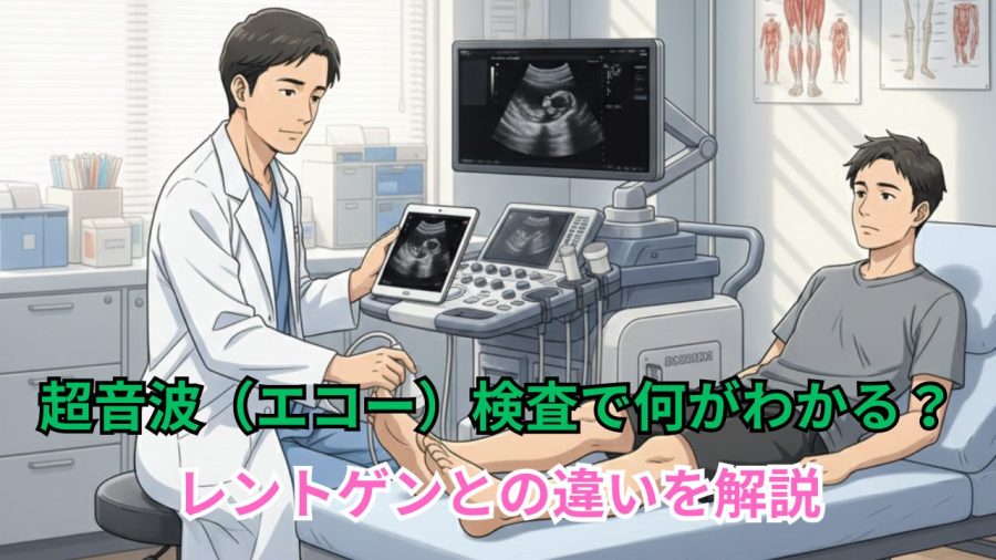 超音波（エコー）検査で何がわかる？ - レントゲンとの違いを解説